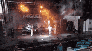 pitchfork music festival GIF by Pitchfork