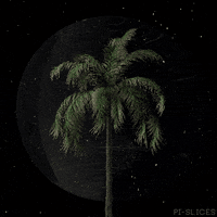 pislices loop 3d trippy space GIF