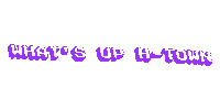 Whats Up Houston Sticker