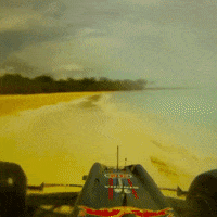 formula 1 beach GIF by Red Bull Racing