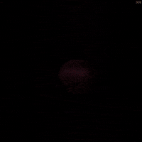 Valentines Day Love GIF by TheJoeCoin