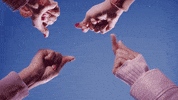 Cherry Blossoms Pink GIF by Sub Pop Records