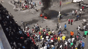 haiti protests GIF