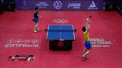 Ping Pong Celebration GIF by ITTFWorld