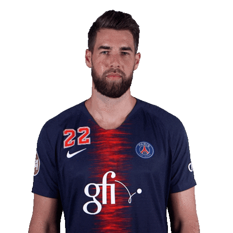 happy luka karabatic Sticker by Paris Saint-Germain Handball