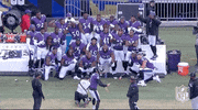 Baltimore Ravens Football GIF by NFL