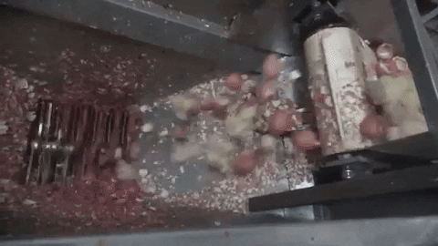 pkwilke giphygifmaker GIF