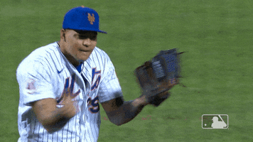 Celebrate Ny Mets GIF by New York Mets