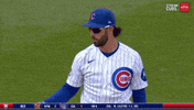 Chicago Cubs Mlb GIF