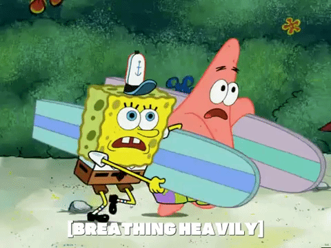 season 6 GIF by SpongeBob SquarePants
