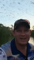 Hundreds of Bats Fly Over Fishermen in Northern Territory River