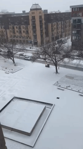 Minneapolis Experiences 'Snow Globe Conditions' as Light Snow Falls
