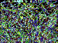 #art GIF by Yoshi Sodeoka
