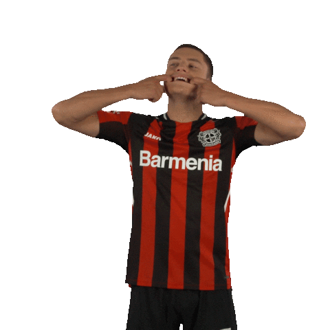 Move Werkself Sticker by Bayer 04 Leverkusen