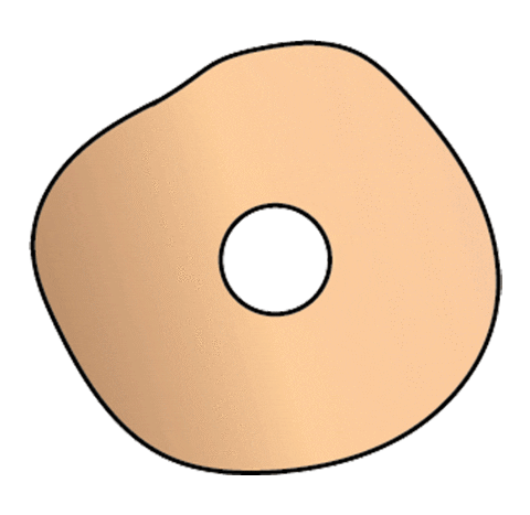 bb blondes and bagels Sticker by Kelsey O