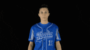 Peace Italia GIF by FIBS - Federazione Italiana Baseball Softball