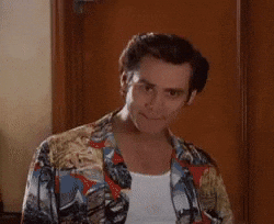 Imgur Favorite Gifs GIF by Imgur