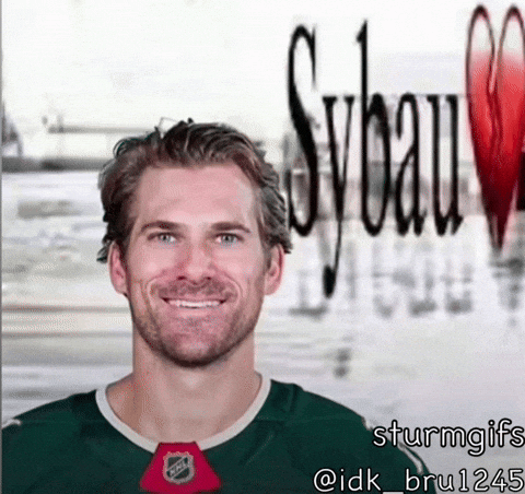 Minnesota Wild Hockey GIF