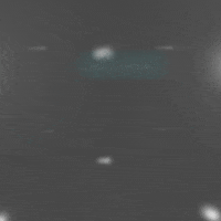 new media art GIF by G1ft3d