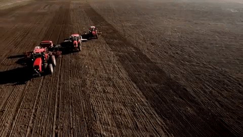 tractor belarus GIF