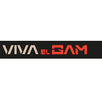 Bgs Sticker by Brasil Game Show
