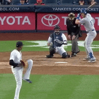 Jomboy  GIF
