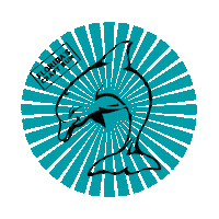 Cape Coral Florida Sticker by Wicked Dolphin