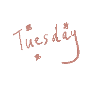 hoyvonne design tuesday evedec nmoji Sticker