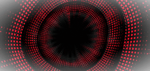 LeoAngell giphygifmaker GIF