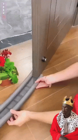 maximenoza giphyupload GIF