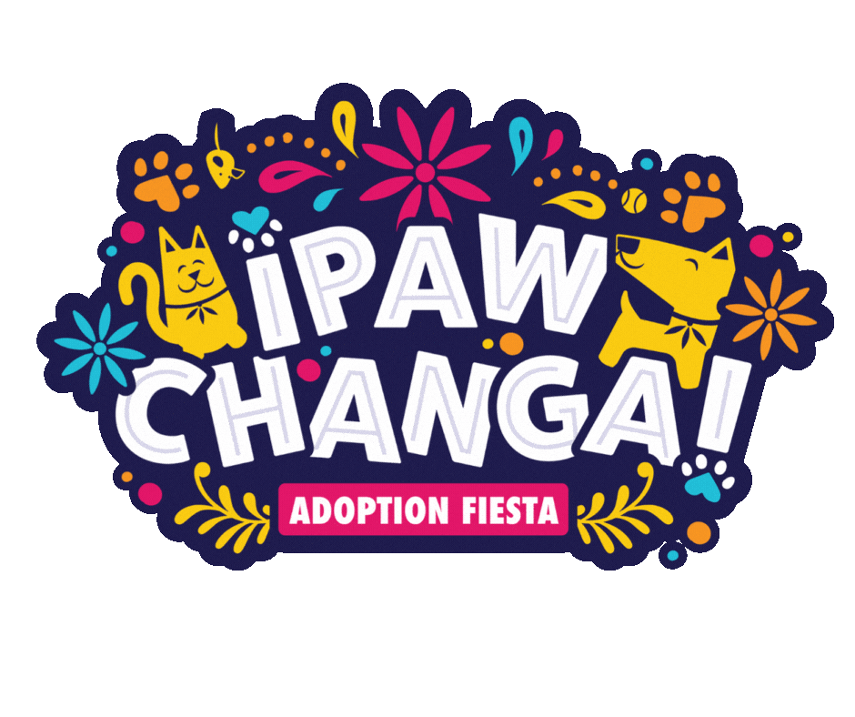 sanantonioacs giphyupload adopt petadoption pawchanga Sticker