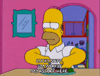 homer simpson episode 20 GIF