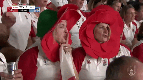 Be Quiet World Cup GIF by World Rugby