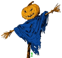 Fall Autumn Sticker