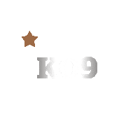 Muhammad Ali Fighting Sticker by World Boxing Super Series