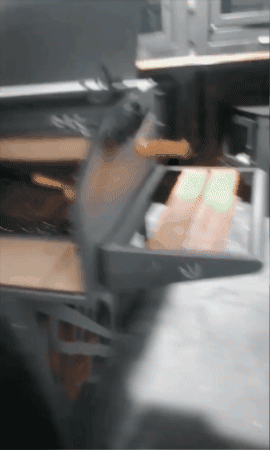 GIF animado