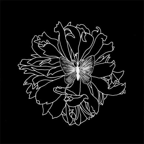 Black And White Flower GIF by Trevor Anderson