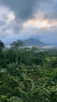 arnellelozada  GIF