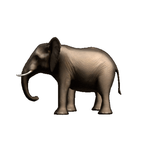 Walking Africa Sticker by GT8Studios