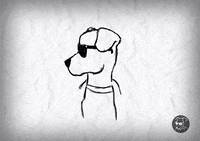 Melmoth_Azul melmoth azul perro con gafas GIF