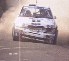 Driving Ford Escort GIF by FIA World Rally Championship