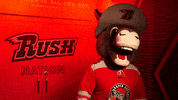 South Dakota Hello GIF by Rapid City Rush