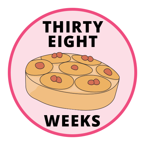 Pregnancy Baby Size Sticker by Bump Boxes
