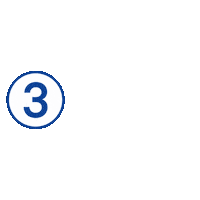 Miss Universe Sticker