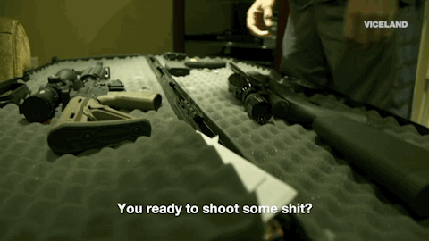 viceland GIF by JUNGLETOWN