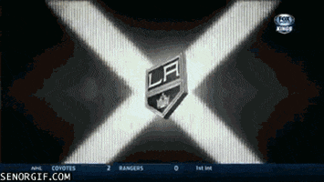 Hockey Fail GIF