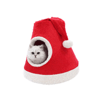 Christmas 고양이 Sticker by tenbyten