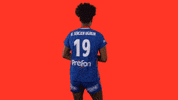 Ffhandball GIF by Fédération Française de Handball