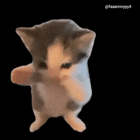 Text Brat GIF