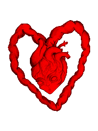 Heart Love Sticker